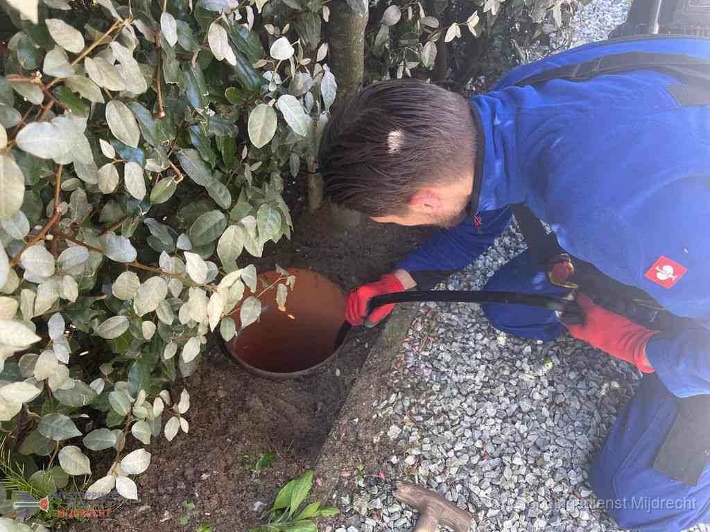 Rioolvliegjes Mijdrecht Rioolvliegjes Mijdrecht